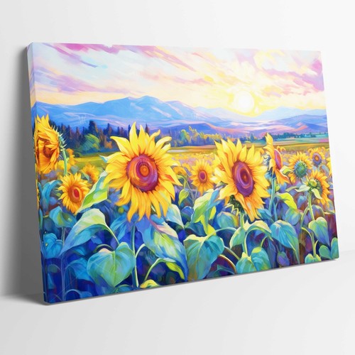 Splendido campo girasoli - splendido, di