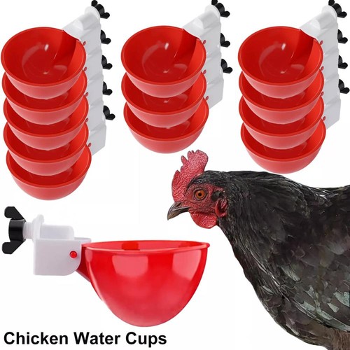 Pezzi ciotola acqua pollo - acqua,