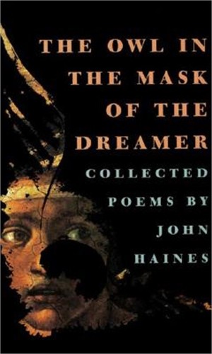 Owl the mask dreamer - in,