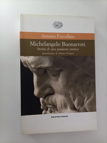 Michelangelo buonarroti storia - michelangelo,