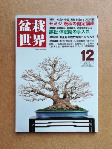 Bonsai world december 2011 - world,
