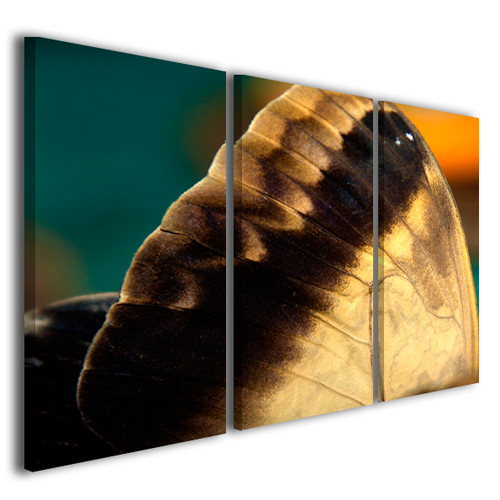 Quadro arte design colori - arte, di