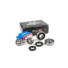 Set Cuscinetti e paraoli