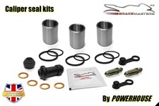 Kit revisione pinza freno