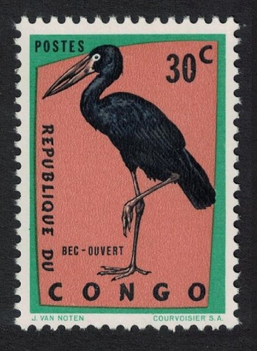 African open bill stork - african, open-bill