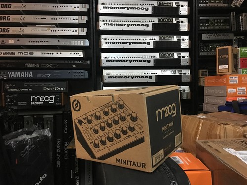 Moog minitaur analogico basso - moog,
