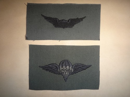 Due patch insegne army - patch,