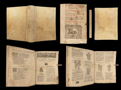 1602 herbal castore durante - 1602,