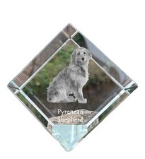 Cane da pastore dei Pirenei