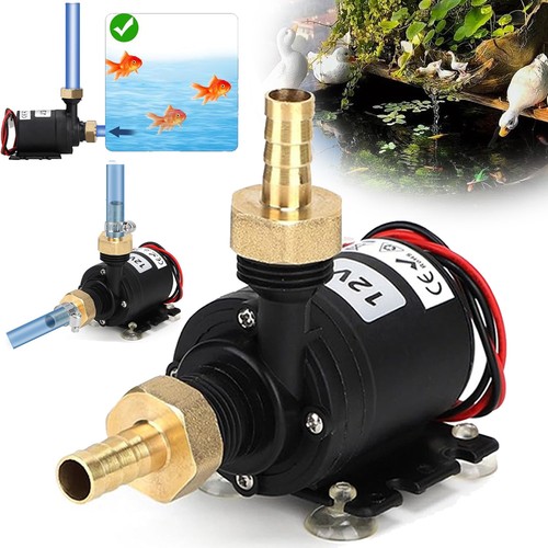 Pompa acqua 12v brushless - pompa,