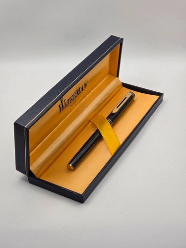 Penna stilografica vintage