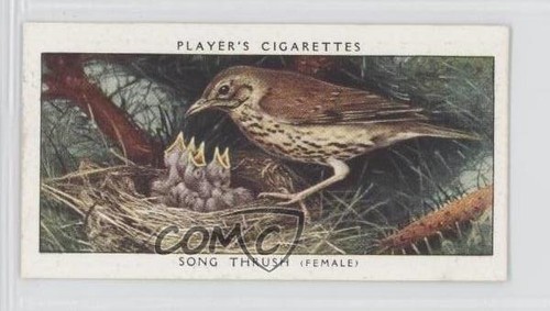 1937 player birds their - 1937, &