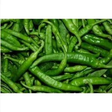 PEPE FRIARIELLO, 25 semi + OMAGGIO