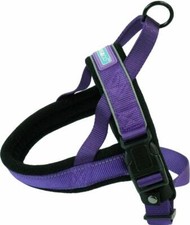 Imbracatura per Cani Cuccioli Comfort Morbida Pile Imbottita Piccola Viola Cane & Co