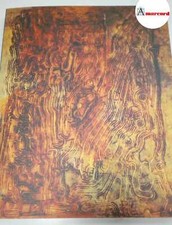 Balena Vincenzo, La realtà e