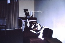 Lampada da tavolo atomica 35