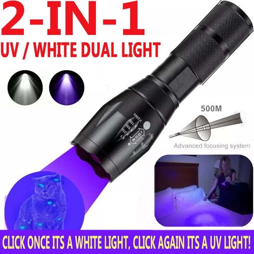 Torcia ultravioletta luce - uv,
