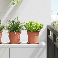 Set vasi per - , 24pz