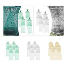 4 pezzi Lanterna maculata