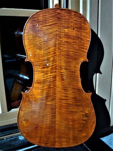 Vecchio violoncello s - vecchio, "s