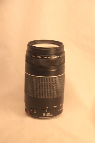 Canon 300 0 5 - canon, mm