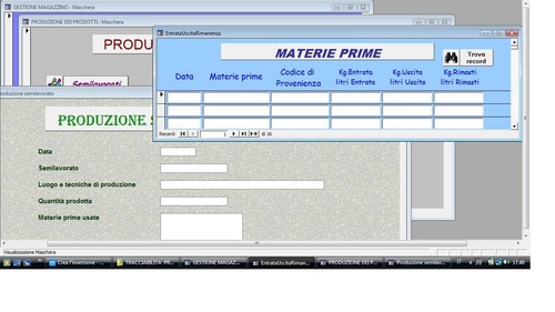 Programma software gestionale - software,