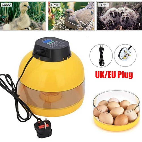 Incubatrice per uova 220 - 1,