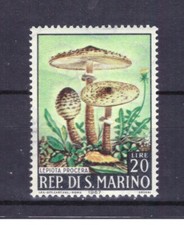 Francobolli San Marino 1967 Funghi 20 Lire MNH Lepiota Procera SAS745