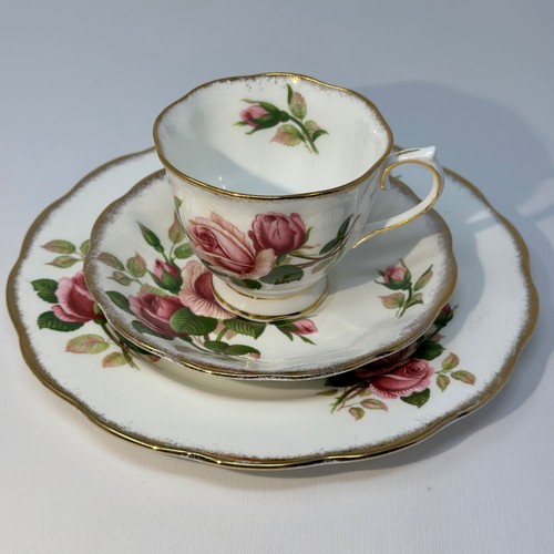 Royal albert anniversary rose - albert,