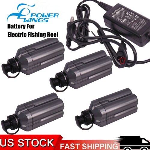 Batteria pesca elettrica - pesca,