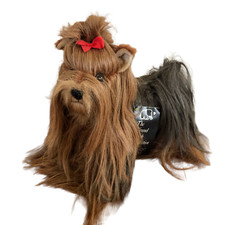 YORKSHIRE TERRIER The Kennel