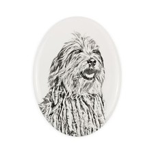Cane pastore bergamasco - cane,