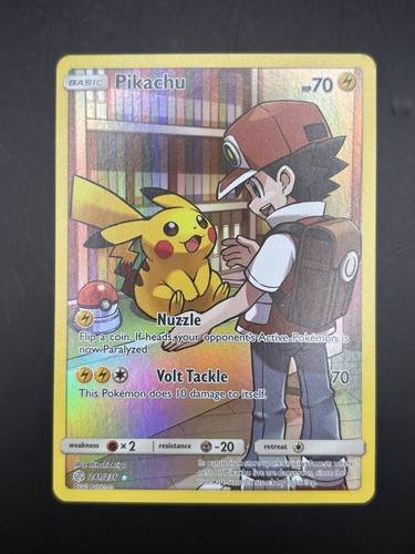 Pikachu 241 236 segreto - pikachu, 241/236