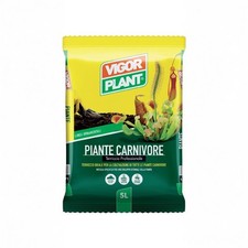VIGOR PLANT | PIANTE CARNIVORE