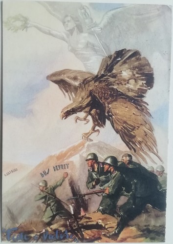 Cartolina reggimento - 47,