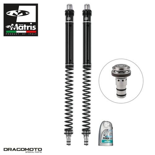 Kit forcella suzuki 650 - kit,