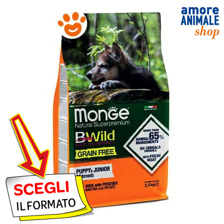 Monge dog bwild grain free - grain,
