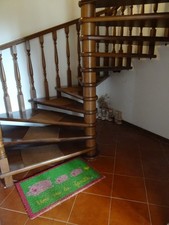 SCALA A CHIOCCIOLA QUADRA  IN LEGNO MASSELLO  VERNICIATA NOCE CON  19 GRADINI - 