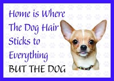 Home is Where The Dog Hair-Funny Chihuahua Vinyl Car Van Decal Sticker Pet
