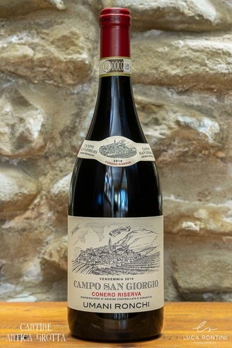 Campo san giorgio 2019 conero - campo,