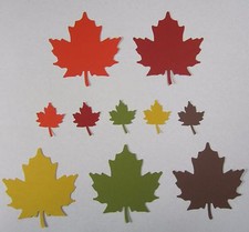 FOGLIE FOGLIA D'ACERO Set 60