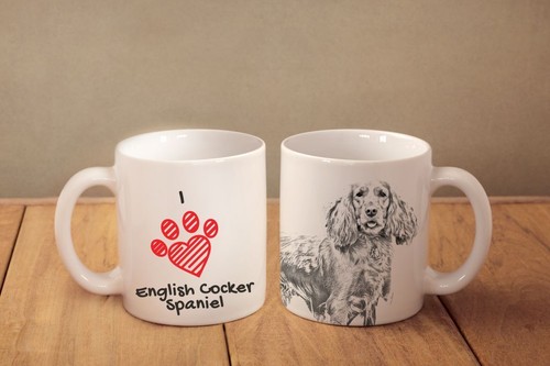 Cocker spaniel inglese becher - cocker,