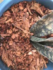 350g Coconut Husk Chips
