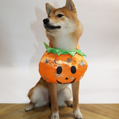 Vestitini per cani costume - per,