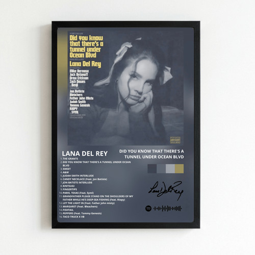 Lana del rey did you - did, know