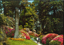 Italia - Italia - Lombardia - Lago di Como - Villa Carlotta - Il Parco