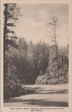 Cartolina MR ALE Riserva