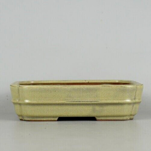 Vaso per bonsai giapponese