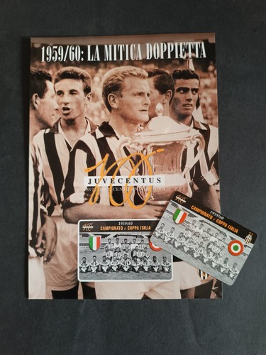 Cartoncino con card - cartoncino,