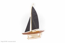 Aeronaut Barca a vela pinguino